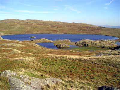 Llyn Adar