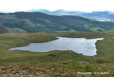 Llyn Manod