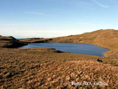 Llyn Conlog