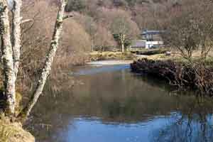 Grapes Pool