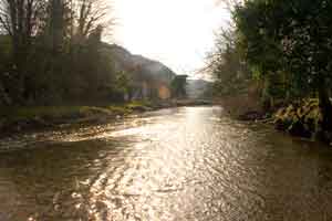 Downstream from bridge