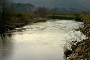 Afon Dwyryd